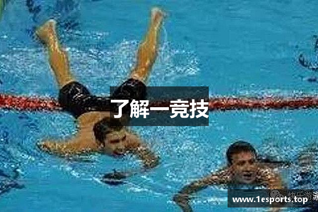 了解一竞技